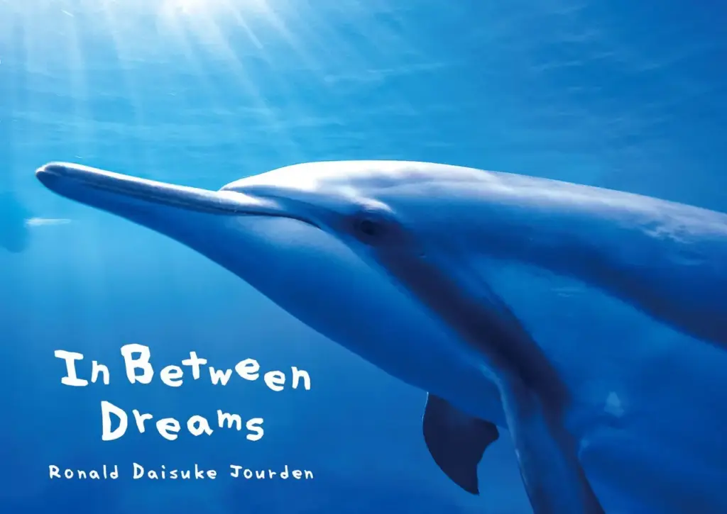 Dolphin Eyes が撮影した、ハシナガイルカの水中写真、In Between Dreams 写真集の表紙になっている