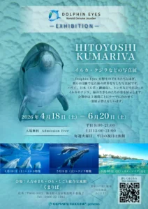 Dolphin Eyes/ Ronald Daisuke Jourden -Exhibition- 人吉くまりばのフライヤー