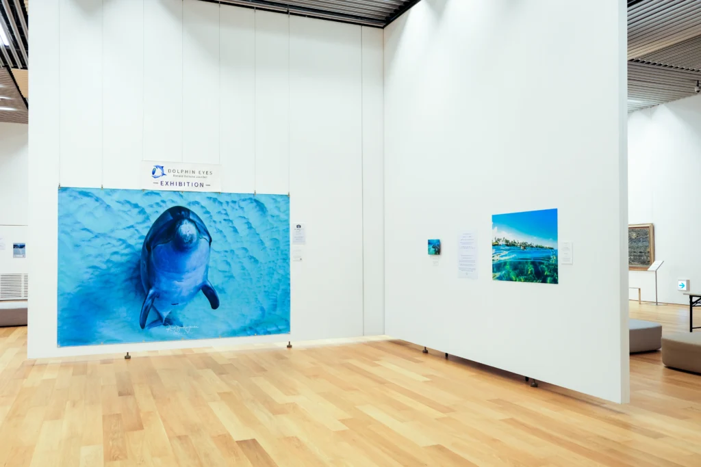 2026年3月24日〜29日不知火美術館・図書館にてDOLPHIN EYESが見た世界　ーイルカたちからのメッセージー展示会の画像