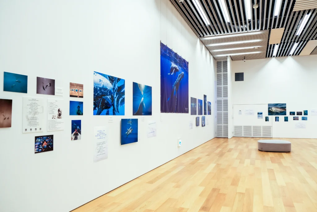 2026年3月24日〜29日不知火美術館・図書館にてDOLPHIN EYESが見た世界　ーイルカたちからのメッセージー展示会の画像