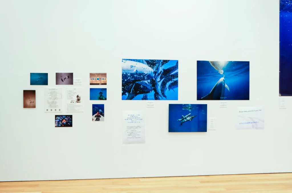 2026年3月24日〜29日不知火美術館・図書館にてDOLPHIN EYESが見た世界　ーイルカたちからのメッセージー展示会の画像