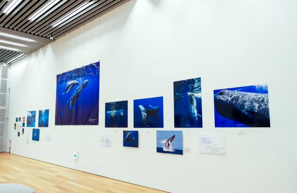 2026年3月24日〜29日不知火美術館・図書館にてDOLPHIN EYESが見た世界　ーイルカたちからのメッセージー展示会の画像