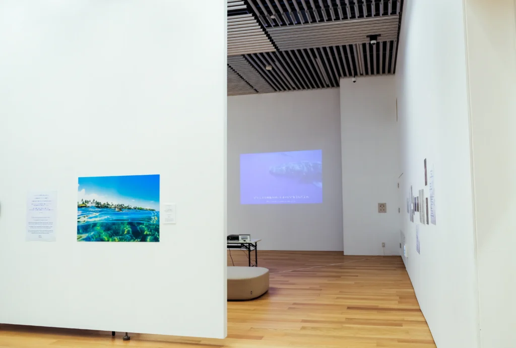 2026年3月24日〜29日不知火美術館・図書館にてDOLPHIN EYESが見た世界　ーイルカたちからのメッセージー展示会の画像