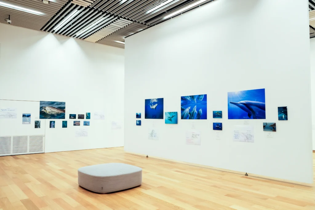 2026年3月24日〜29日不知火美術館・図書館にてDOLPHIN EYESが見た世界　ーイルカたちからのメッセージー展示会の画像