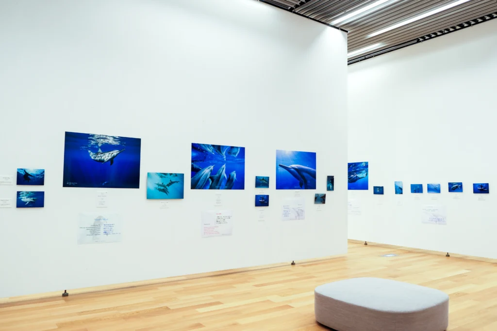 2026年3月24日〜29日不知火美術館・図書館にてDOLPHIN EYESが見た世界　ーイルカたちからのメッセージー展示会の画像
