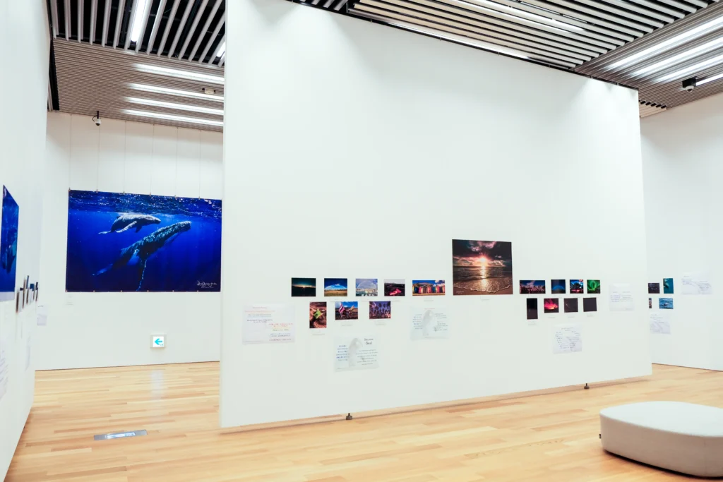 2026年3月24日〜29日不知火美術館・図書館にてDOLPHIN EYESが見た世界　ーイルカたちからのメッセージー展示会の画像