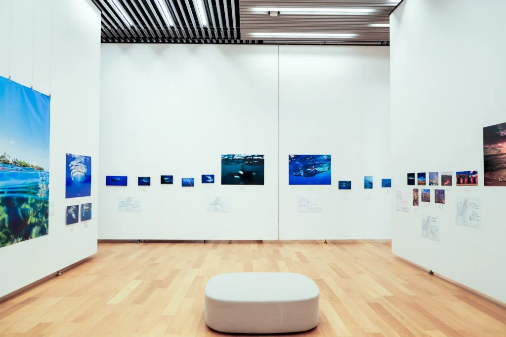2026年3月24日〜29日不知火美術館・図書館にてDOLPHIN EYESが見た世界　ーイルカたちからのメッセージー展示会の画像