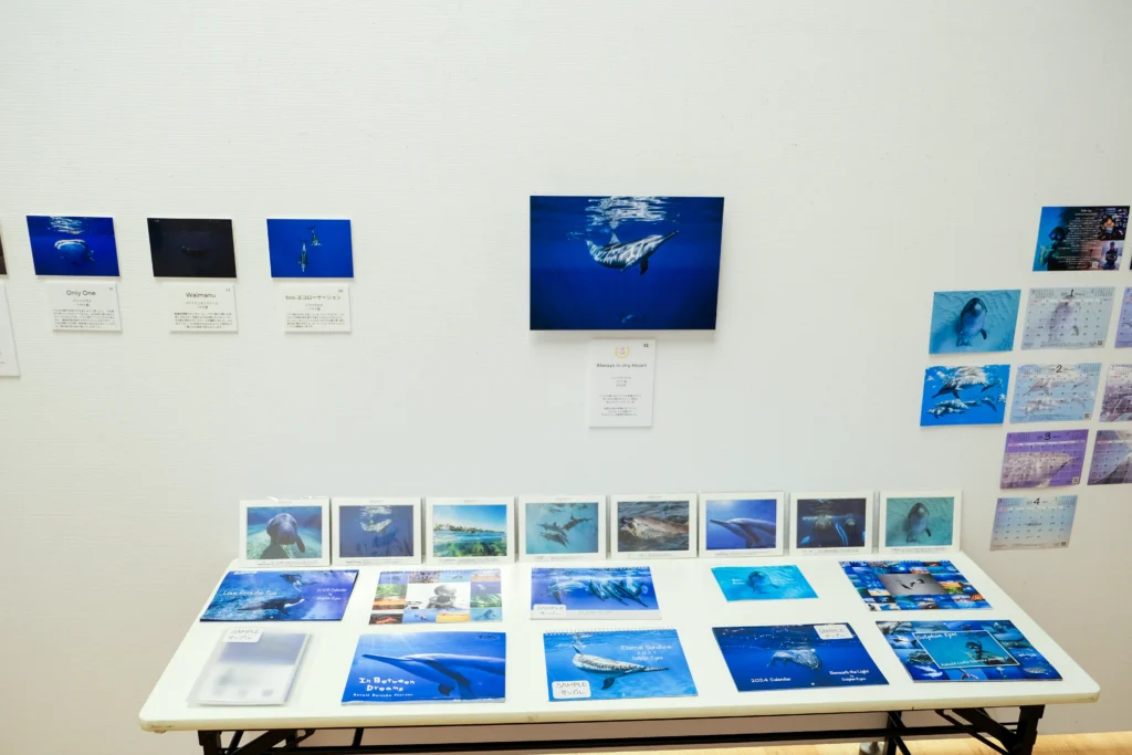 2026年3月24日〜29日不知火美術館・図書館にてDOLPHIN EYESが見た世界　ーイルカたちからのメッセージー展示会の画像