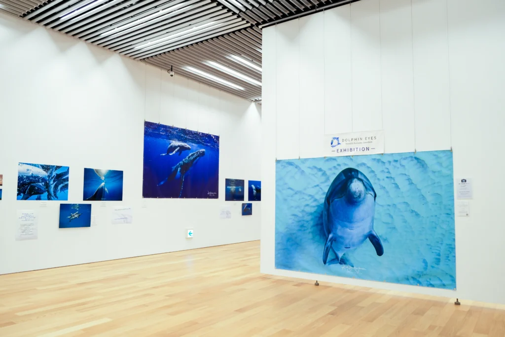 2026年3月24日〜29日不知火美術館・図書館にてDOLPHIN EYESが見た世界　ーイルカたちからのメッセージー展示会の画像