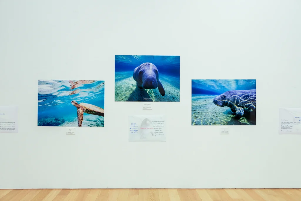 2026年3月24日〜29日不知火美術館・図書館にてDOLPHIN EYESが見た世界　ーイルカたちからのメッセージー展示会の画像