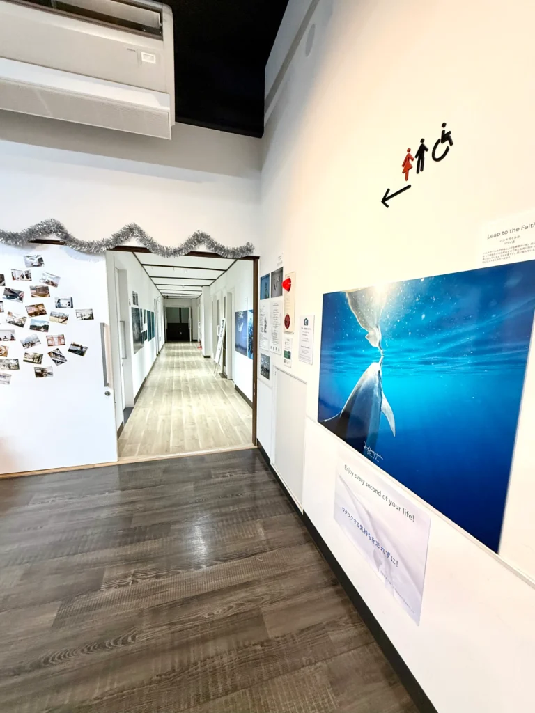 4月18日〜6月20日 Dolphin Eyes展示会、人吉くまりば、イルカ特集の画像