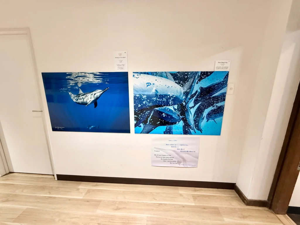 4月18日〜6月20日 Dolphin Eyes展示会、人吉くまりば、イルカ特集の画像