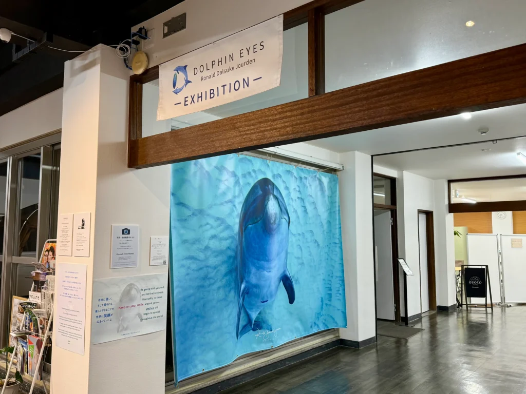 4月18日〜6月20日 Dolphin Eyes展示会、人吉くまりば、イルカ特集の画像