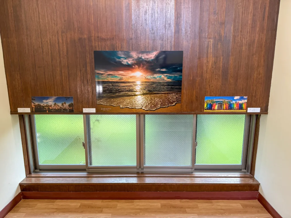 4月18日〜6月20日 Dolphin Eyes展示会、人吉くまりば、5月9日〜クジラ特集の画像