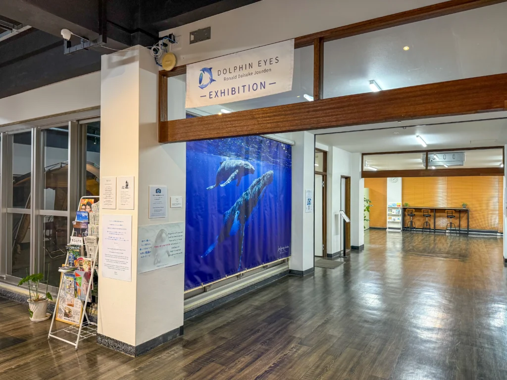 4月18日〜6月20日 Dolphin Eyes展示会、人吉くまりば、5月9日〜クジラ特集の画像