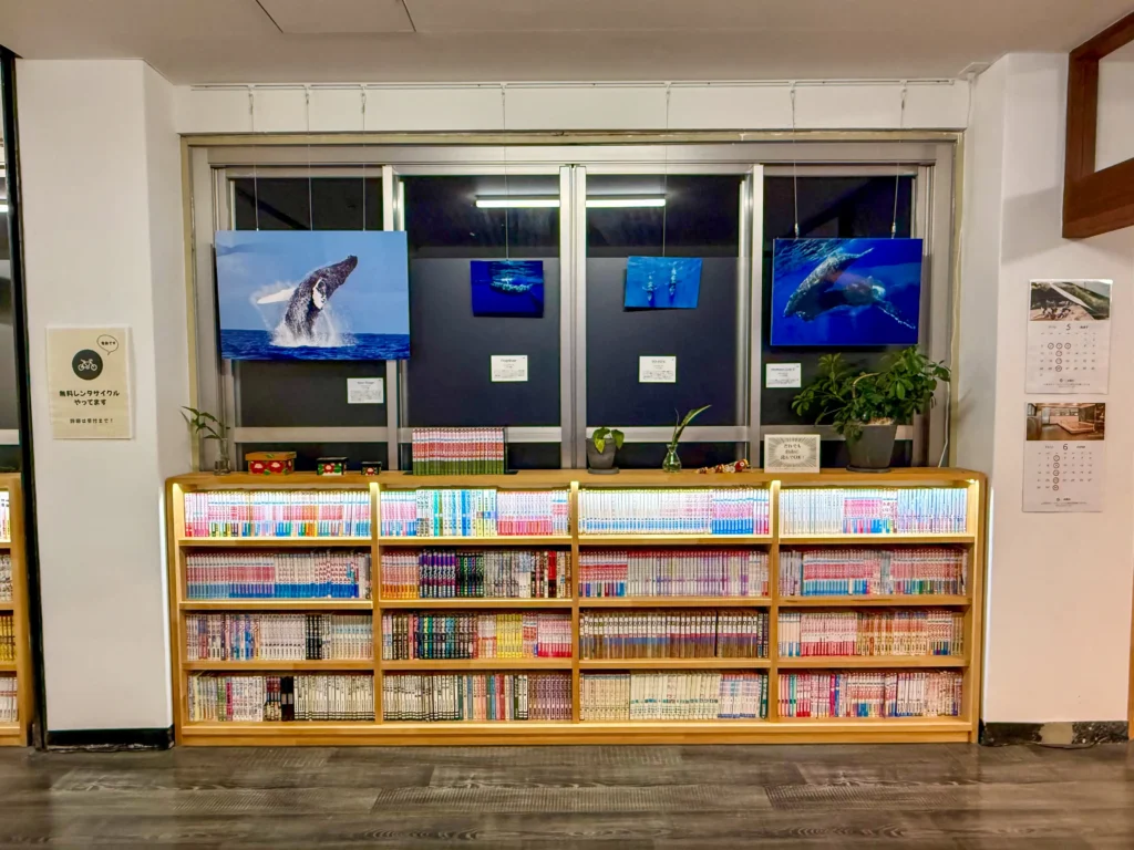 4月18日〜6月20日 Dolphin Eyes展示会、人吉くまりば、5月9日〜クジラ特集の画像