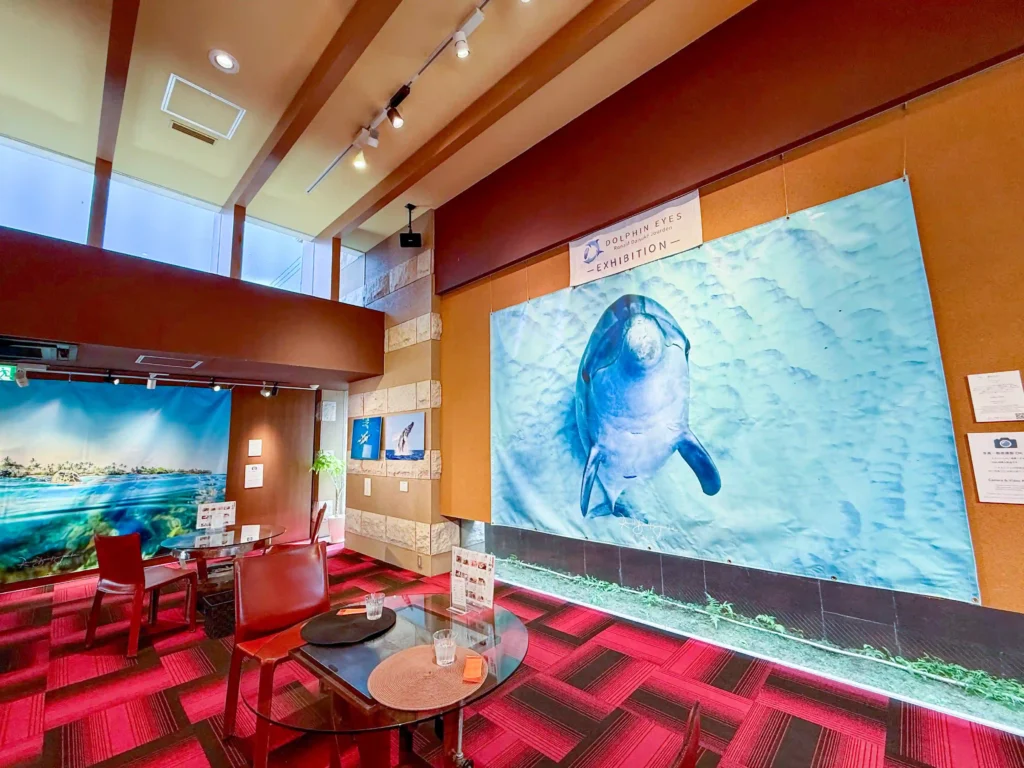 2026年7月27日〜8月10日、お菓子の香梅ドゥ・アート・スペース人吉店にてDOLPHIN EYES 展示会の様子