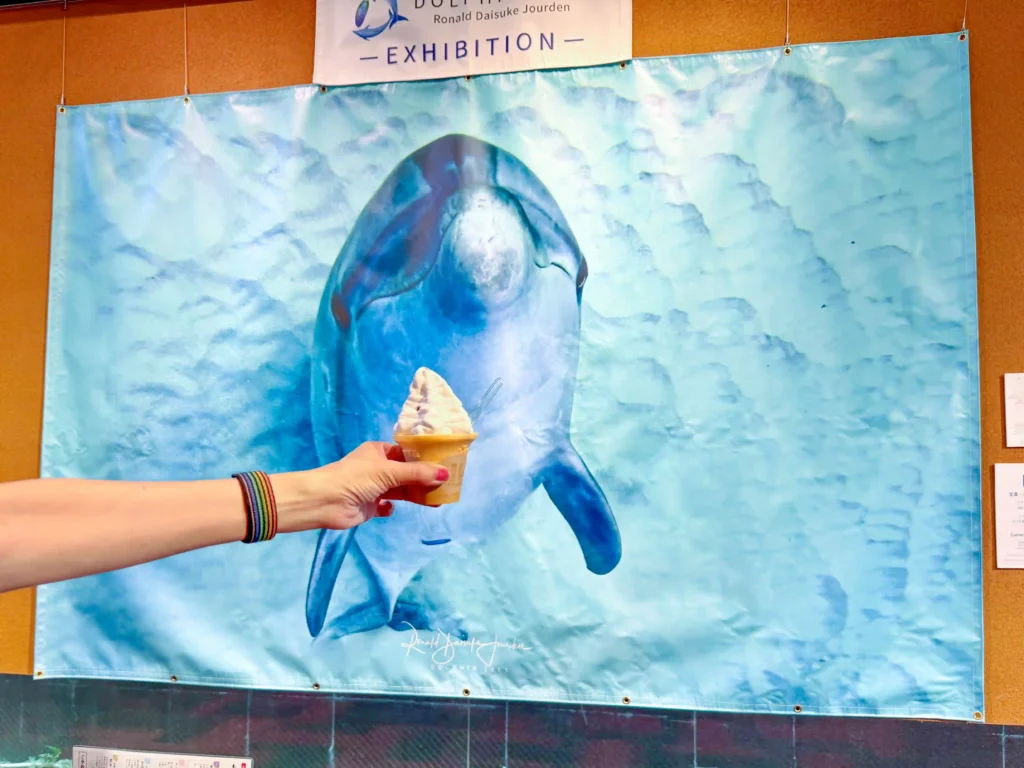 2026年7月27日〜8月10日、お菓子の香梅ドゥ・アート・スペース人吉店にてDOLPHIN EYES 展示会の様子
