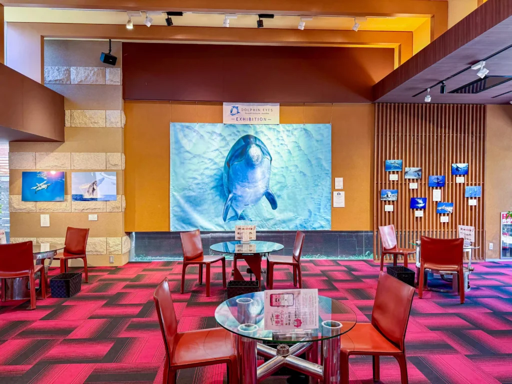 2026年7月27日〜8月10日、お菓子の香梅ドゥ・アート・スペース人吉店にてDOLPHIN EYES 展示会の様子