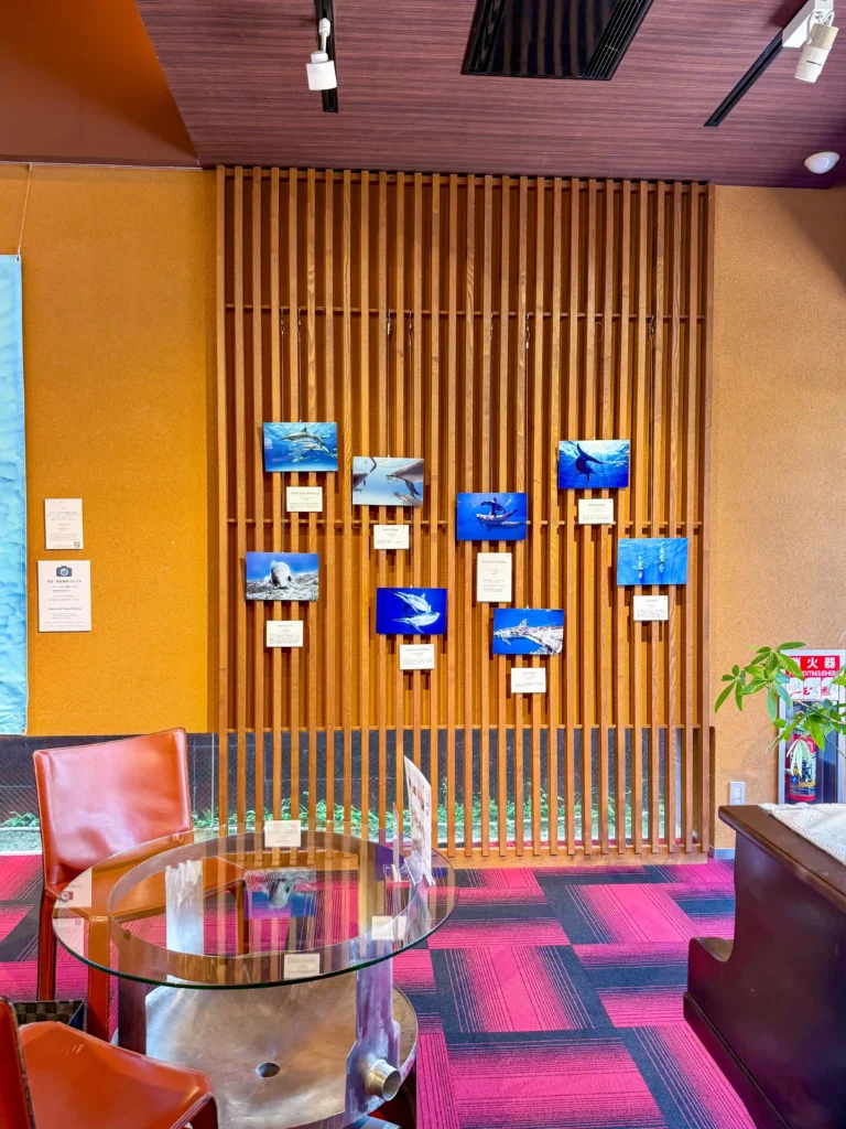 2026年7月27日〜8月10日、お菓子の香梅ドゥ・アート・スペース人吉店にてDOLPHIN EYES 展示会の様子