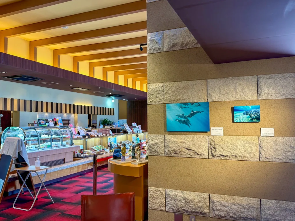 2026年7月27日〜8月10日、お菓子の香梅ドゥ・アート・スペース人吉店にてDOLPHIN EYES 展示会の様子