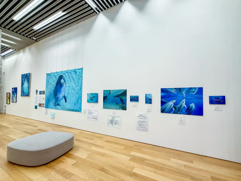 DOLPHIN EYES がのこしてくれたもの — 次世代へのメッセージ —展示会の様子の画像