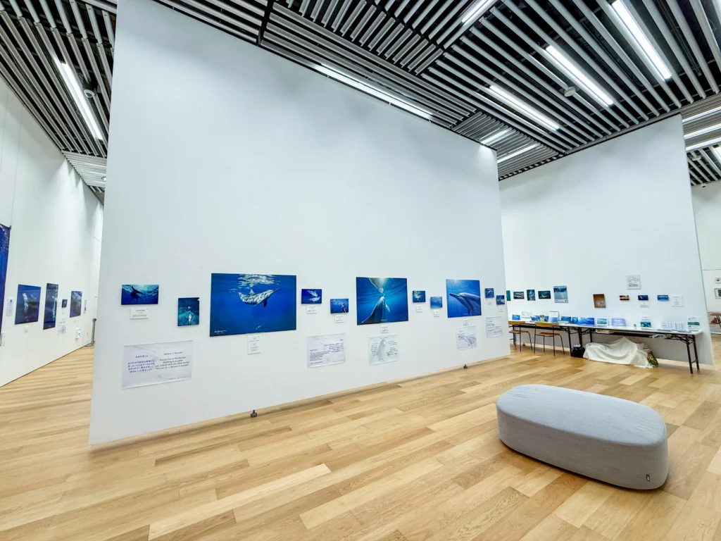 DOLPHIN EYES がのこしてくれたもの — 次世代へのメッセージ —展示会の様子の画像