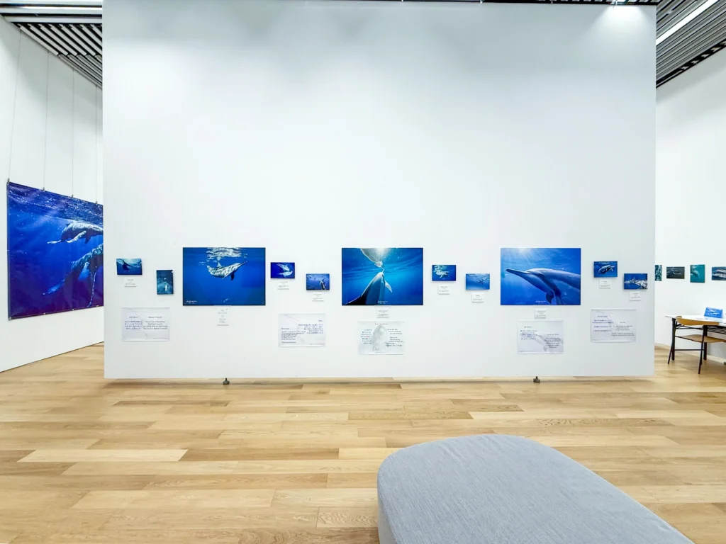 DOLPHIN EYES がのこしてくれたもの — 次世代へのメッセージ —展示会の様子の画像