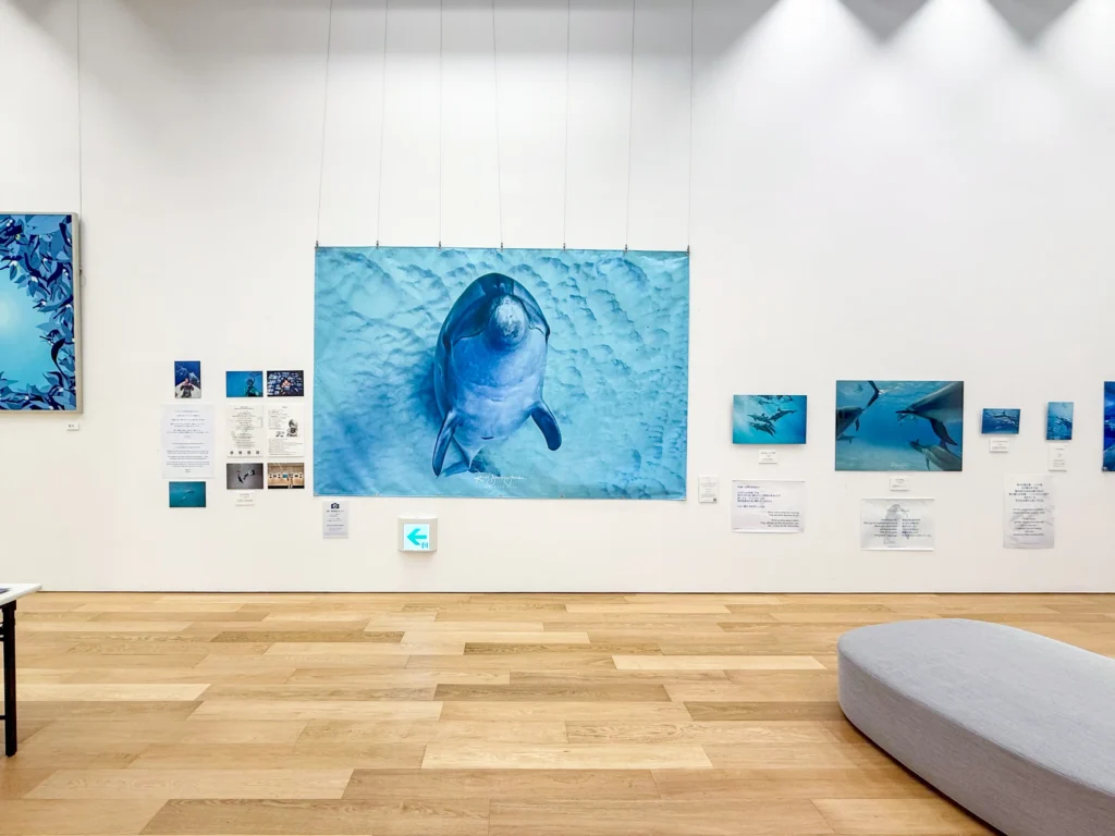 DOLPHIN EYES がのこしてくれたもの — 次世代へのメッセージ —展示会の様子の画像