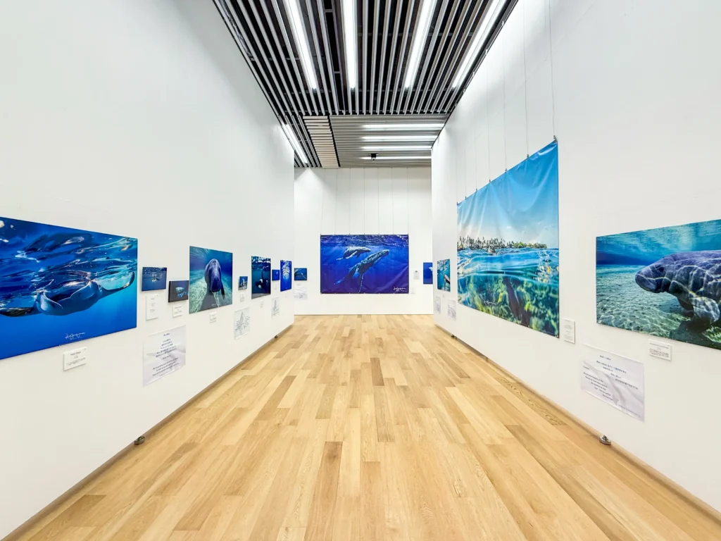 DOLPHIN EYES がのこしてくれたもの — 次世代へのメッセージ —展示会の様子の画像