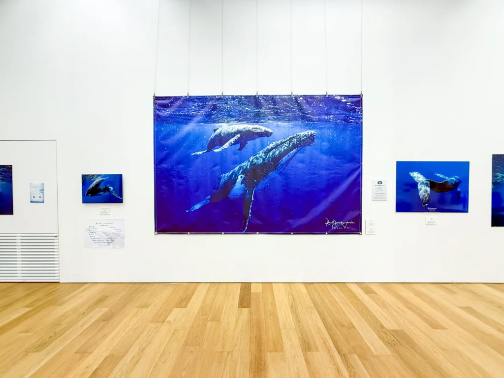 DOLPHIN EYES がのこしてくれたもの — 次世代へのメッセージ —展示会の様子の画像