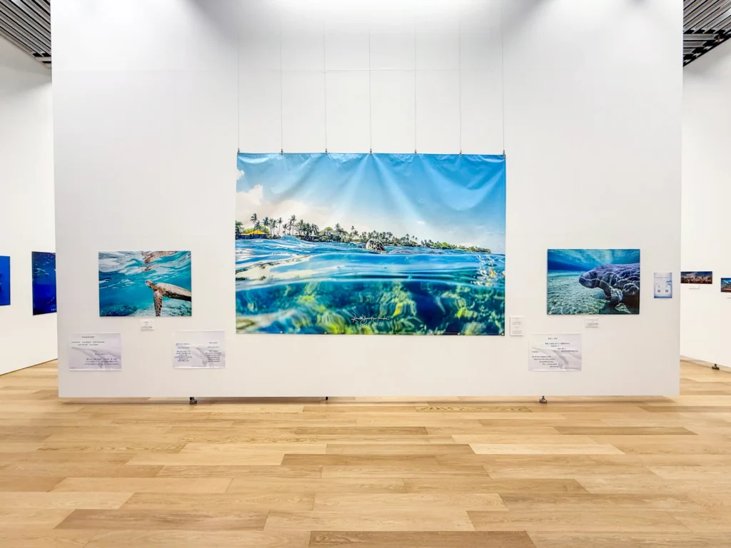 DOLPHIN EYES がのこしてくれたもの — 次世代へのメッセージ —展示会の様子の画像