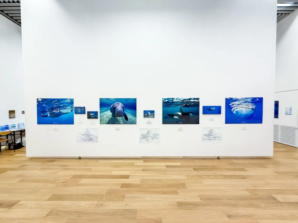 DOLPHIN EYES がのこしてくれたもの — 次世代へのメッセージ —展示会の様子の画像