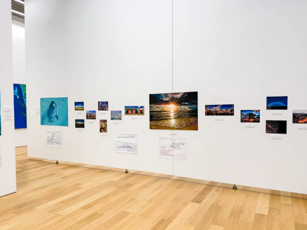 DOLPHIN EYES がのこしてくれたもの — 次世代へのメッセージ —展示会の様子の画像