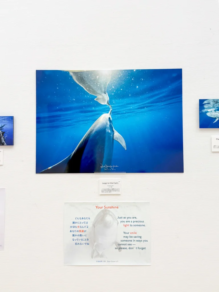 DOLPHIN EYES がのこしてくれたもの — 次世代へのメッセージ —展示会の様子の画像