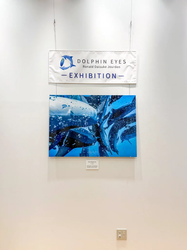 DOLPHIN EYES がのこしてくれたもの — 次世代へのメッセージ —展示会の様子の画像