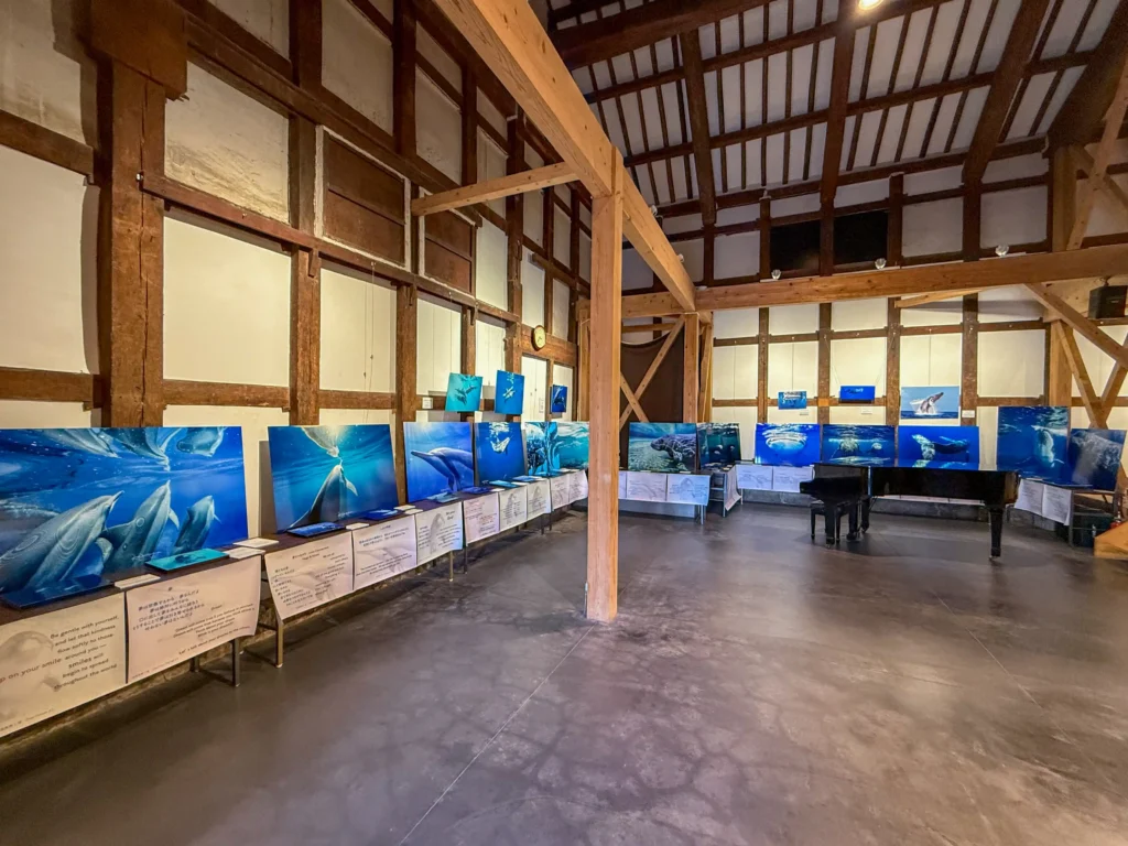 2026年7月11日〜12日、御船街なかギャラリーにてDOLPHIN EYES 展示会の様子の画像