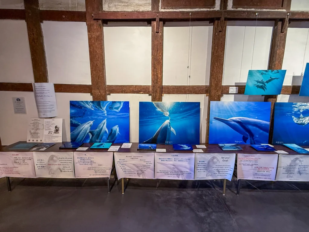 2026年7月11日〜12日、御船街なかギャラリーにてDOLPHIN EYES 展示会の様子の画像