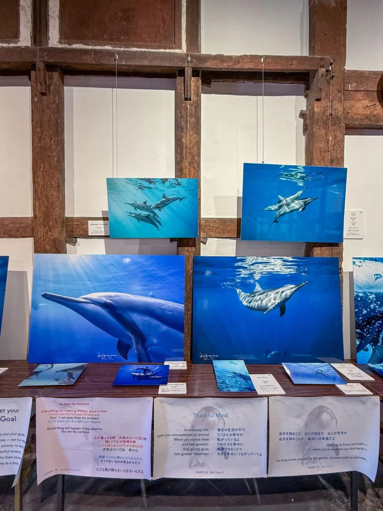 2026年7月11日〜12日、御船街なかギャラリーにてDOLPHIN EYES 展示会の様子の画像