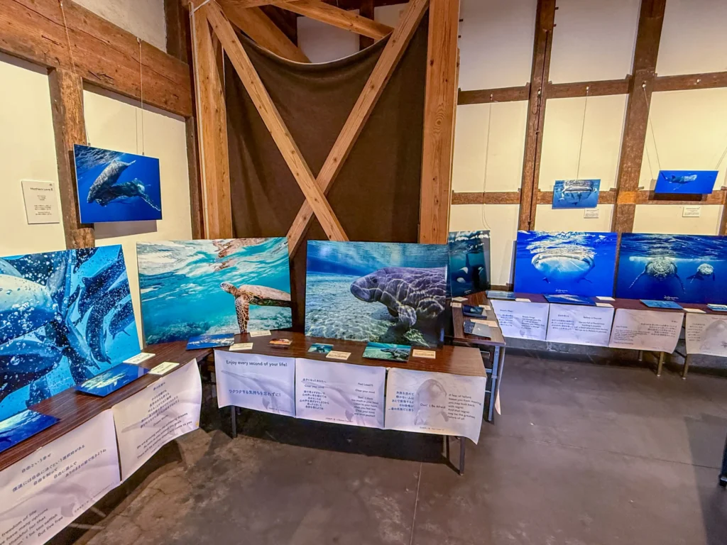 2026年7月11日〜12日、御船街なかギャラリーにてDOLPHIN EYES 展示会の様子の画像