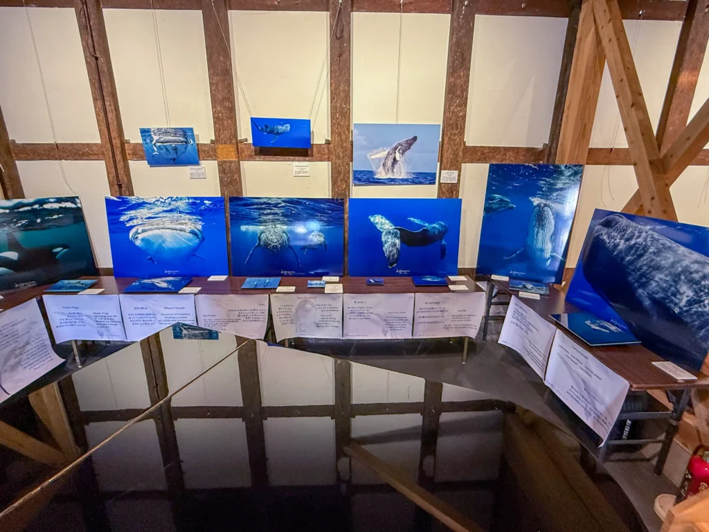 2026年7月11日〜12日、御船街なかギャラリーにてDOLPHIN EYES 展示会の様子の画像