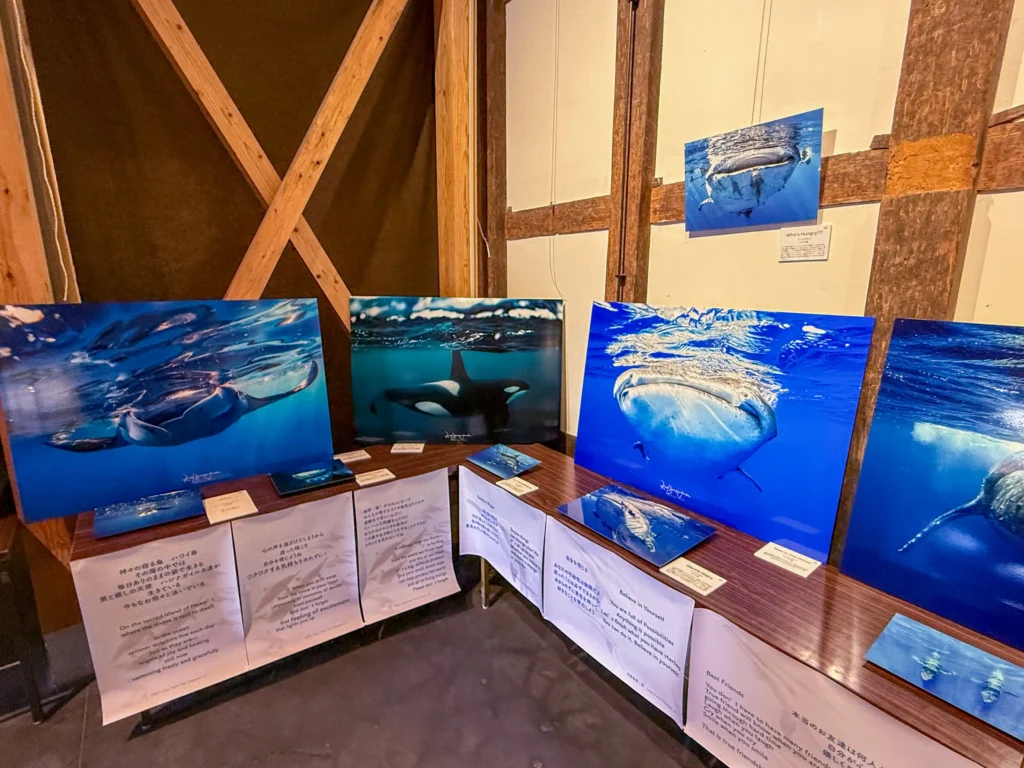 2026年7月11日〜12日、御船街なかギャラリーにてDOLPHIN EYES 展示会の様子の画像