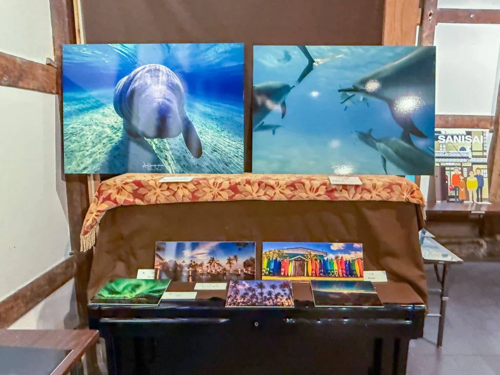 2026年7月11日〜12日、御船街なかギャラリーにてDOLPHIN EYES 展示会の様子の画像