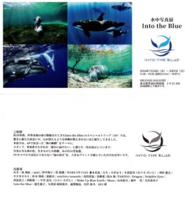 水中写真展「Into the Blue」出展のお知らせ