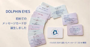 DOLPHIN EYESメッセージカードができたお知らせアイキャッチ画像