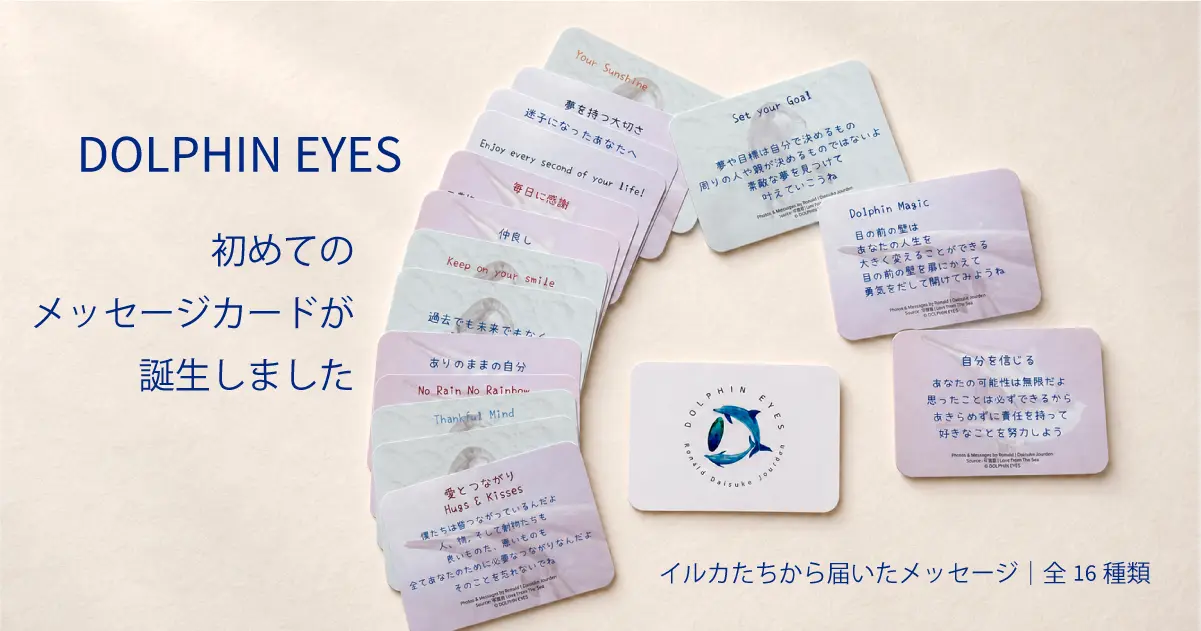 DOLPHIN EYESメッセージカードができたお知らせアイキャッチ画像
