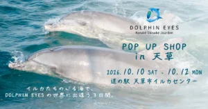 2026年10月10日〜12日、DOLPHIN EYES 天草市イルカセンターブース出店　お知らせメイン画像
