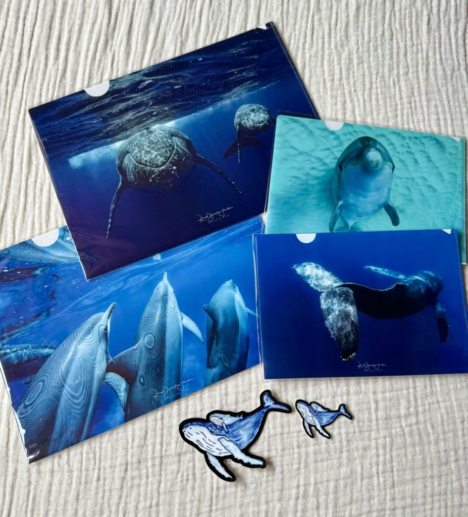 DOLPHIN EYESの新作グッズ、クリアフォルダ、くじらステッカー